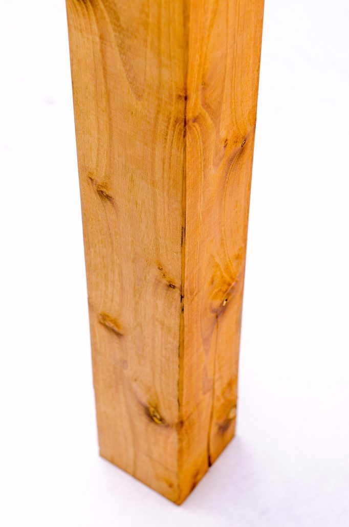 Black Locust Posts